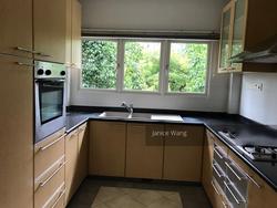 Holland Mansion (D10), Condominium #134892342
